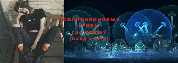 дживик Аркадак