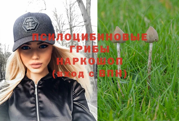 индика Армянск