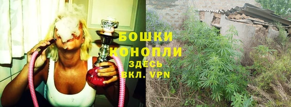 дживик Аркадак