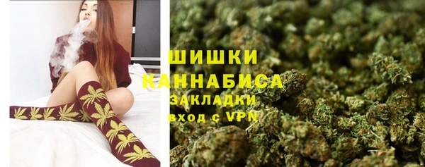 ECSTASY Пересвет