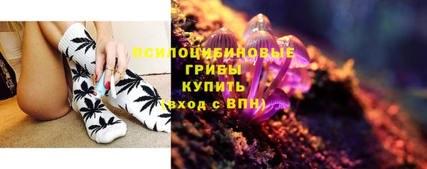 дживик Аркадак