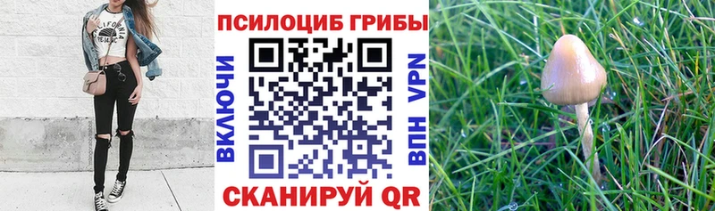 Галлюциногенные грибы прущие грибы  Советск 